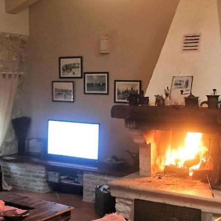 Saison Openning Prices Luxury Villa Nini With Fireplace, Private Pool, Bikes, Barbecue And Much More Poreč Zewnętrze zdjęcie